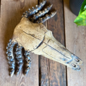 Rzeźba ceramiczna „Czaszka z Mackami”