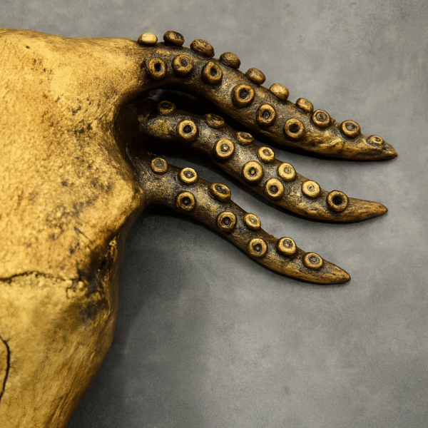 ChatGPT Image 17 lis 2025, 20_35_29