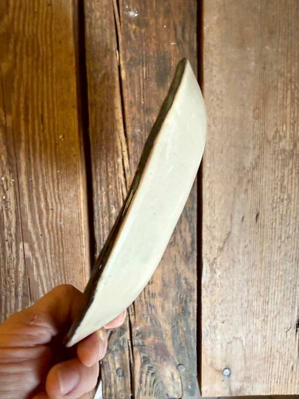 WhatsApp Image 2026-01-19 at 14.03.43