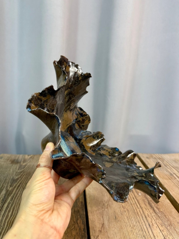 WhatsApp Image 2026-01-28 at 10.09.05 (1)