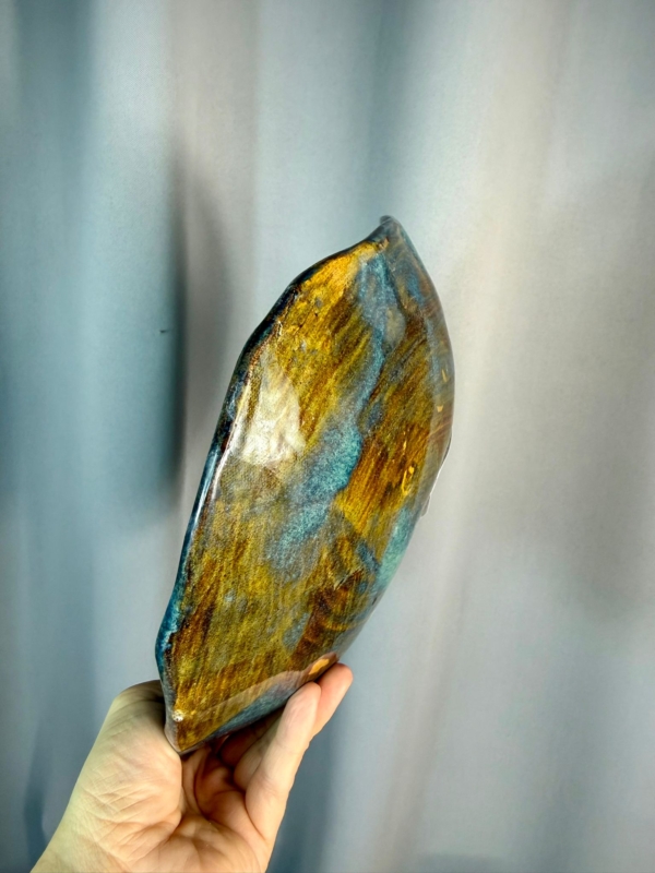 WhatsApp Image 2026-01-28 at 10.09.30 (2)