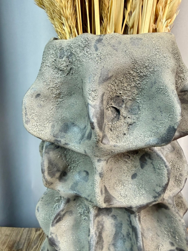 WhatsApp Image 2026-01-28 at 10.09.46