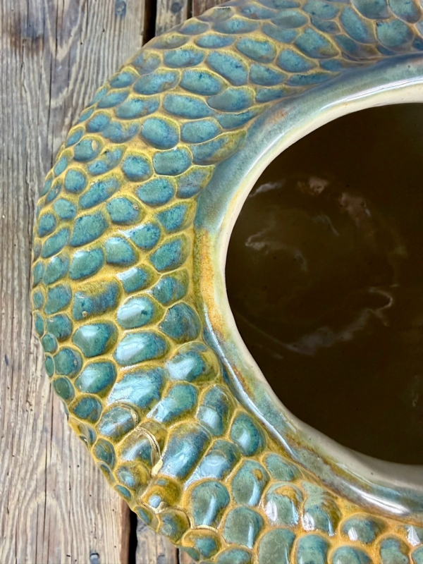 WhatsApp Image 2026-01-28 at 10.10.11 (1)