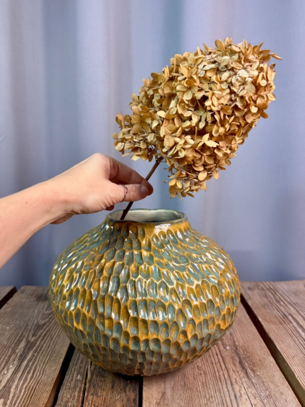 WhatsApp Image 2026-01-28 at 10.10.11 (2)