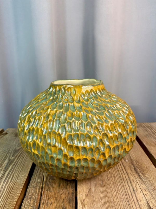 WhatsApp Image 2026-01-28 at 10.10.11 (3)