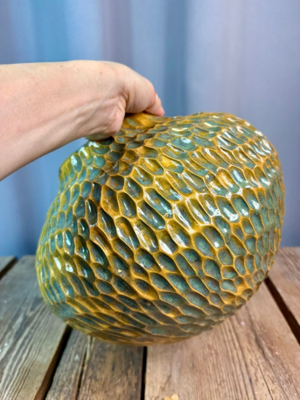 WhatsApp Image 2026-01-28 at 10.10.11