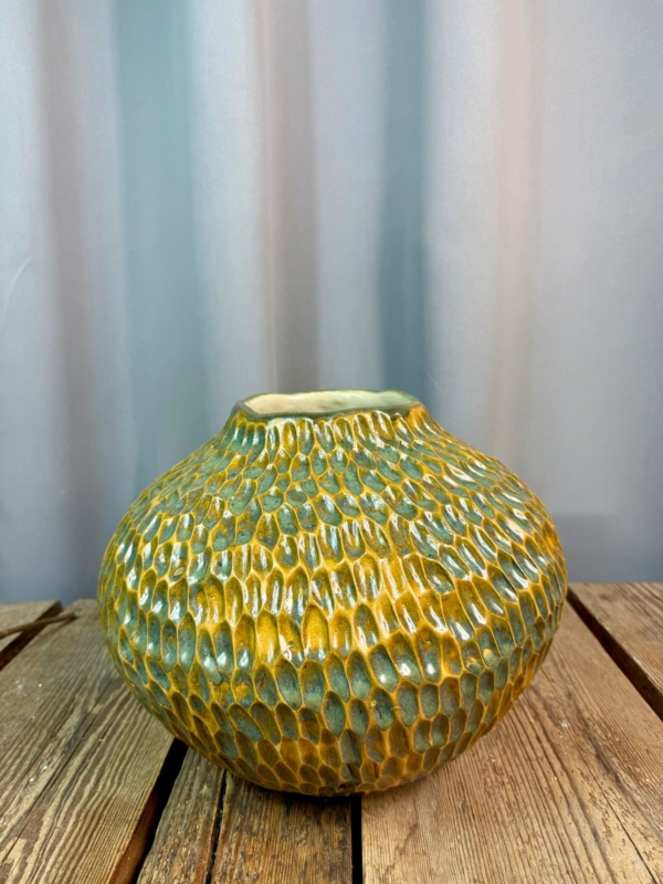 WhatsApp Image 2026-01-28 at 10.10.12 (1)