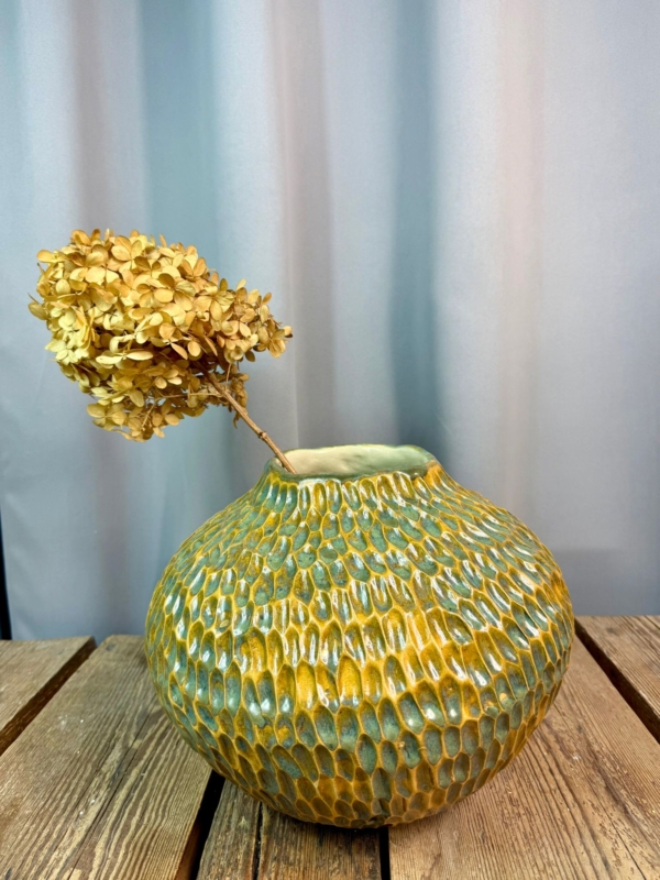 WhatsApp Image 2026-01-28 at 10.10.12 (2)