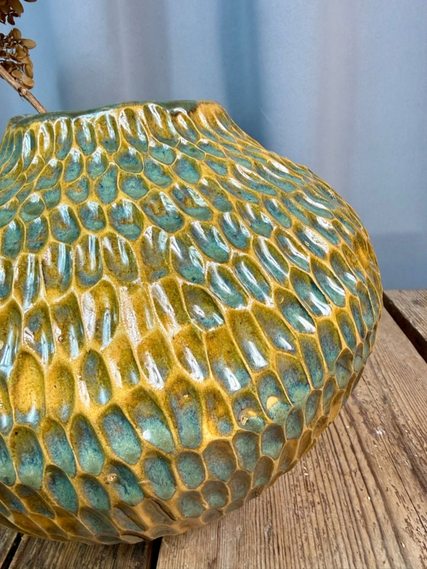 WhatsApp Image 2026-01-28 at 10.10.12 (3)