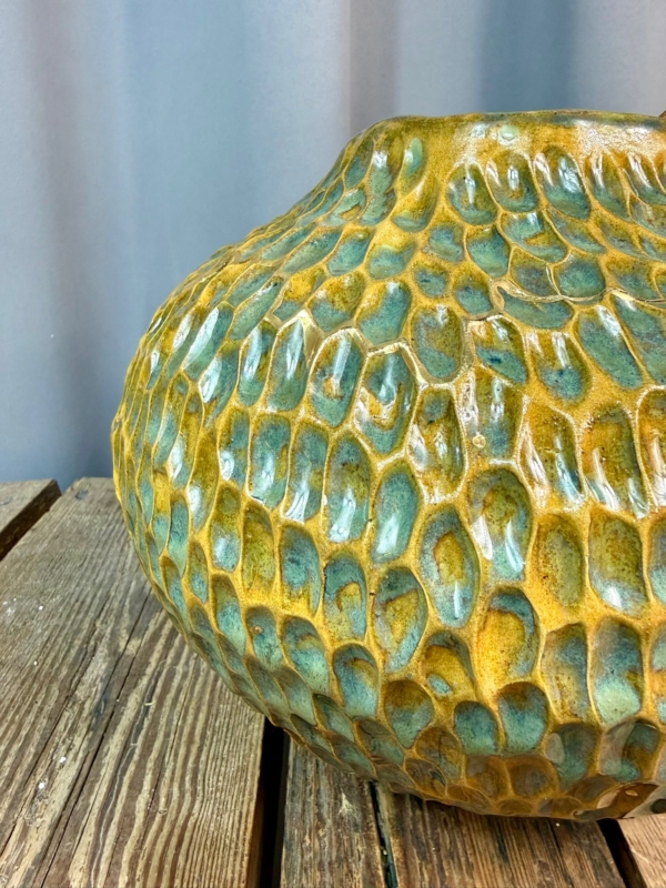 WhatsApp Image 2026-01-28 at 10.10.13 (1)