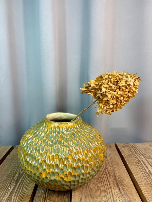 WhatsApp Image 2026-01-28 at 10.10.13 (2)