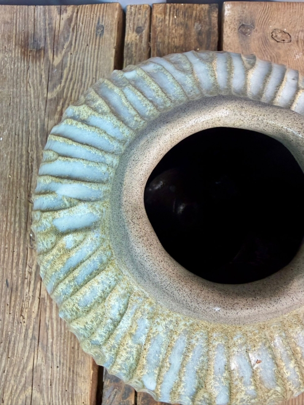 WhatsApp Image 2026-01-28 at 10.10.36