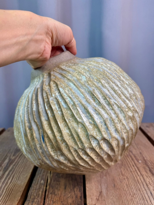 WhatsApp Image 2026-01-28 at 10.10.37 (1)