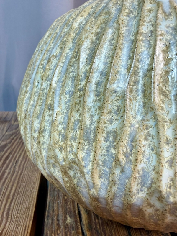 WhatsApp Image 2026-01-28 at 10.10.37 (2)