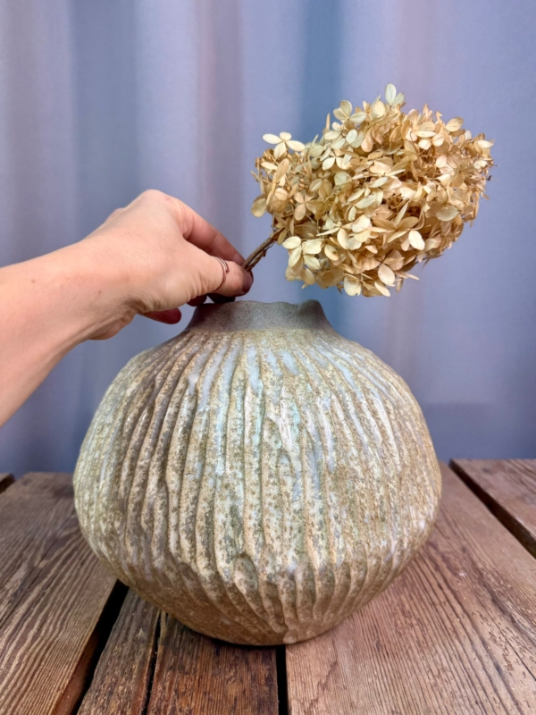 WhatsApp Image 2026-01-28 at 10.10.37 (3)