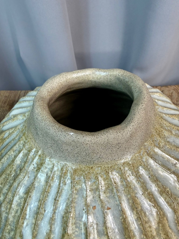 WhatsApp Image 2026-01-28 at 10.10.37 (4)