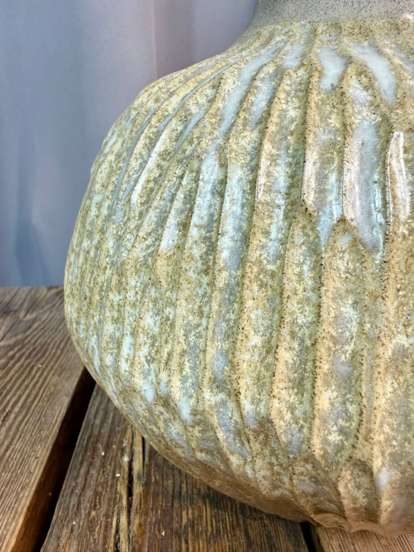 WhatsApp Image 2026-01-28 at 10.10.37 (6)