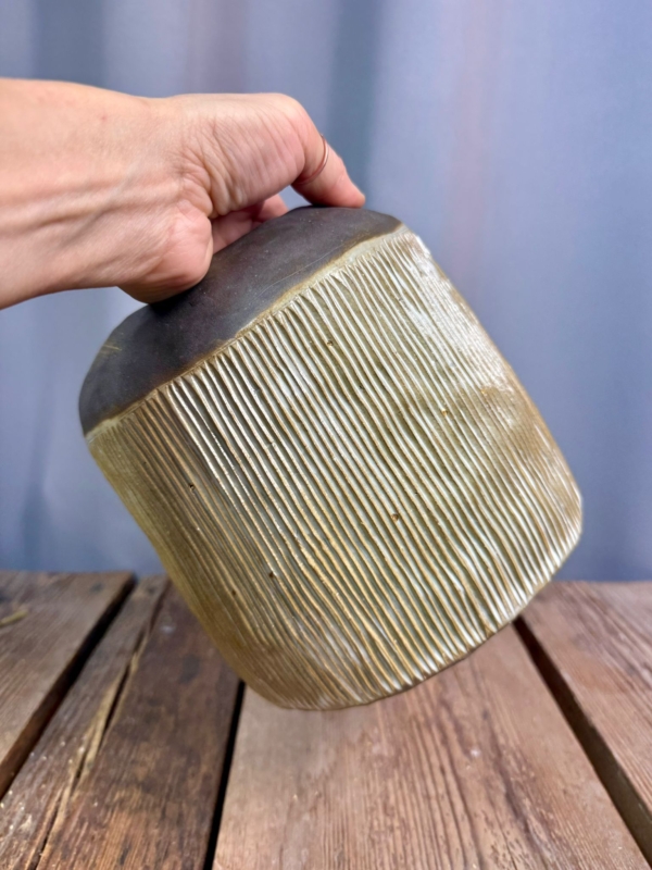 WhatsApp Image 2026-01-28 at 10.10.38 (1)