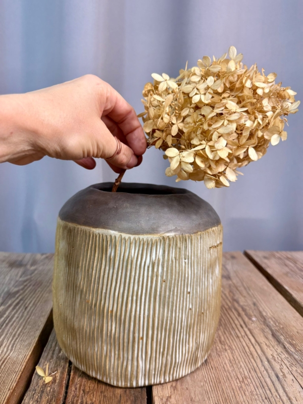 WhatsApp Image 2026-01-28 at 10.10.38 (5)