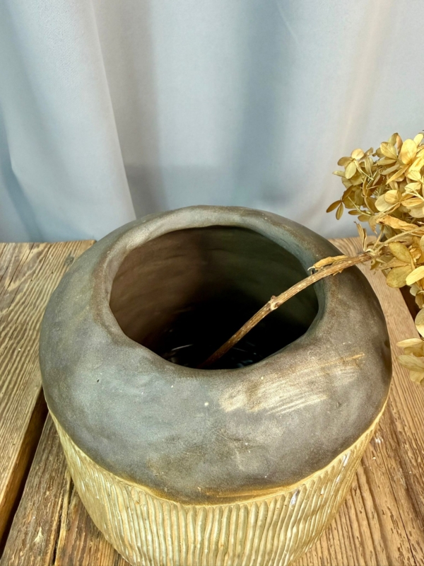 WhatsApp Image 2026-01-28 at 10.10.38 (6)