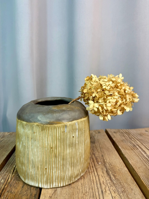 WhatsApp Image 2026-01-28 at 10.10.56 (1)