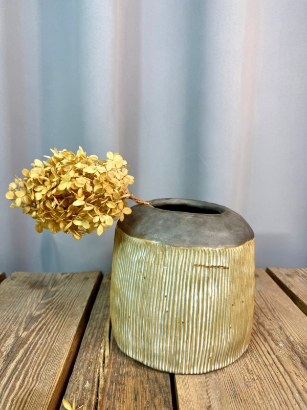 WhatsApp Image 2026-01-28 at 10.10.56 (3)