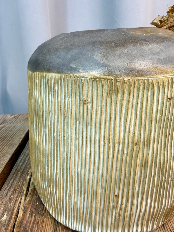 WhatsApp Image 2026-01-28 at 10.10.56