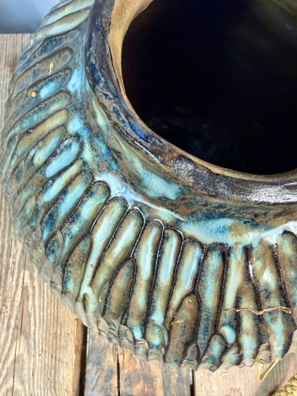 WhatsApp Image 2026-01-28 at 10.10.58