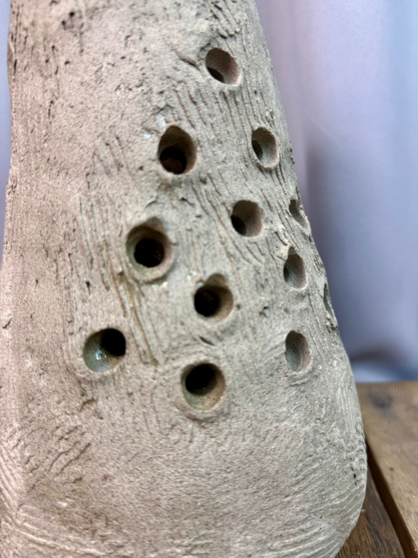 WhatsApp Image 2026-02-03 at 10.49.39 (1)