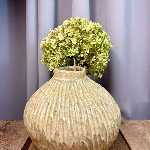 WhatsApp Image 2026-02-03 at 10.49.40 (6)