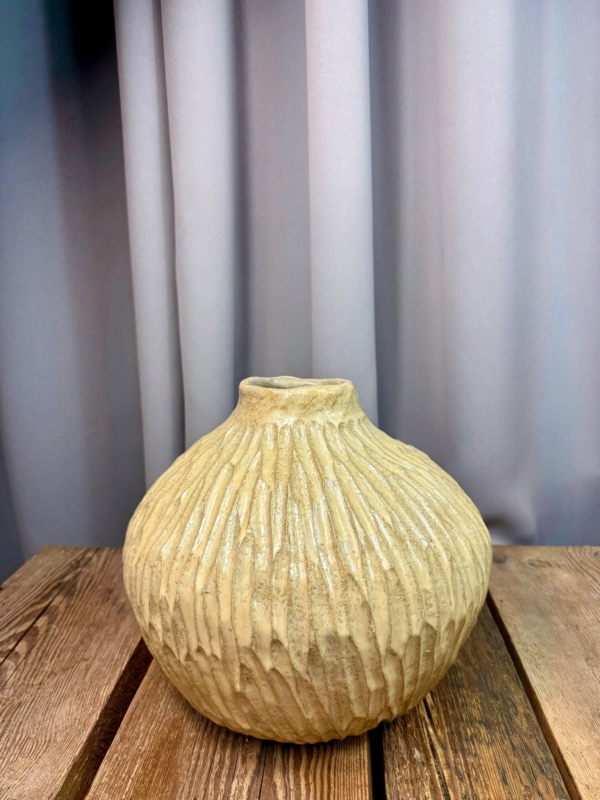 WhatsApp Image 2026-02-03 at 10.49.41 (1)