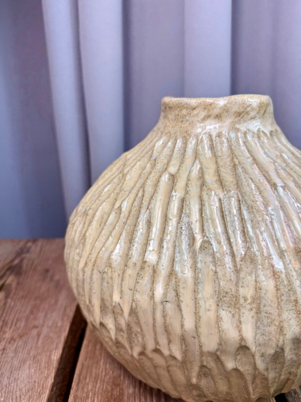 WhatsApp Image 2026-02-03 at 10.49.41 (2)