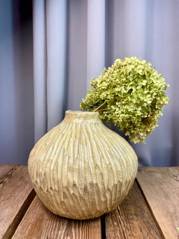 WhatsApp Image 2026-02-03 at 10.49.41 (4)