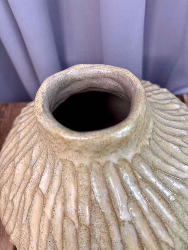 WhatsApp Image 2026-02-03 at 10.49.41