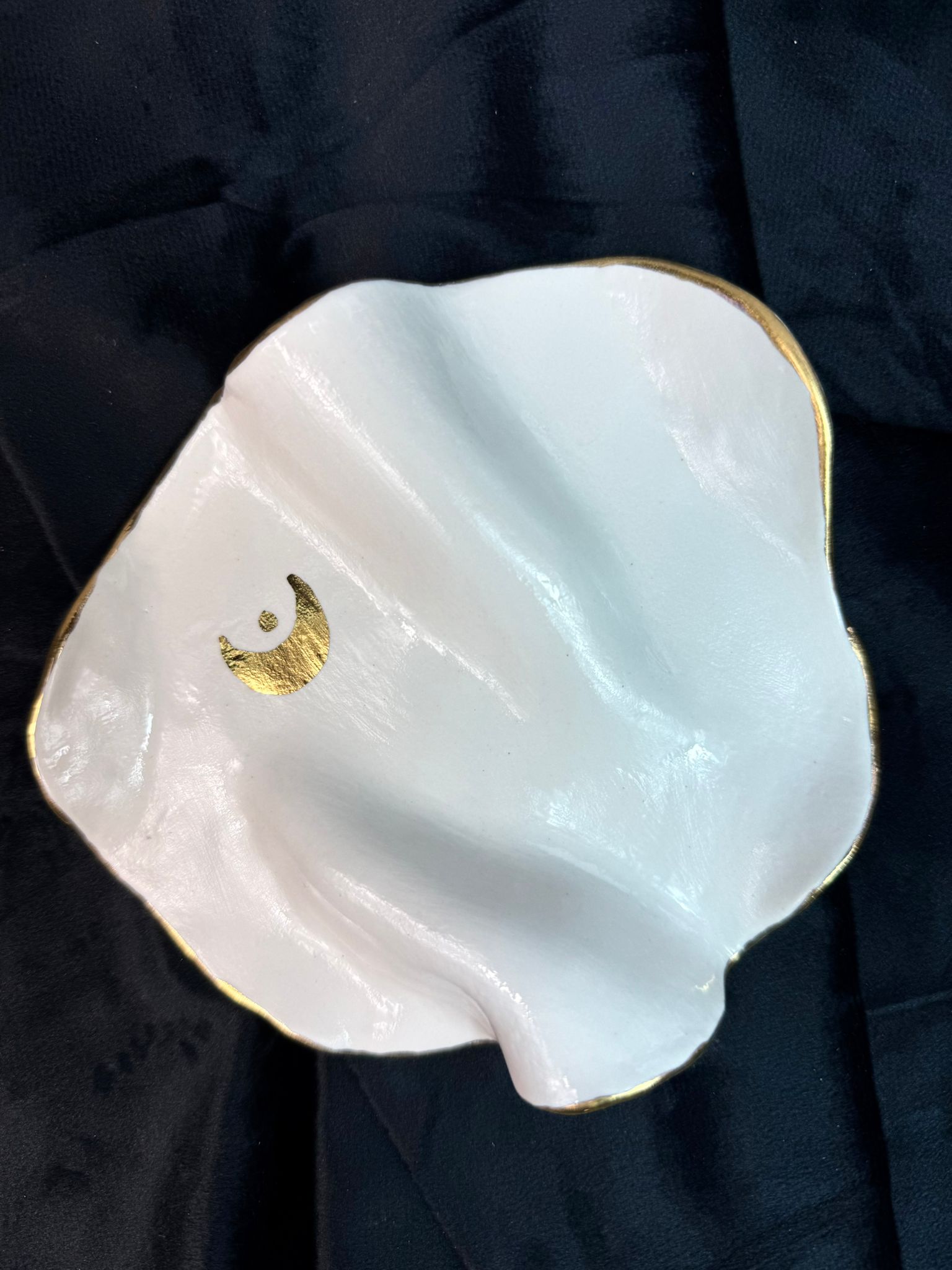 WhatsApp Image 2026-02-03 at 10.59.04 (3)