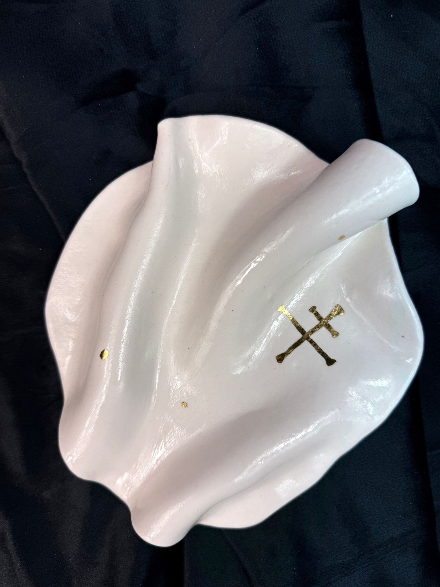 WhatsApp Image 2026-02-03 at 10.59.36 (1)