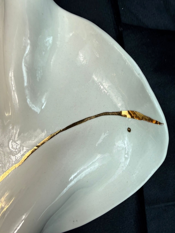 WhatsApp Image 2026-02-03 at 10.59.37 (12)