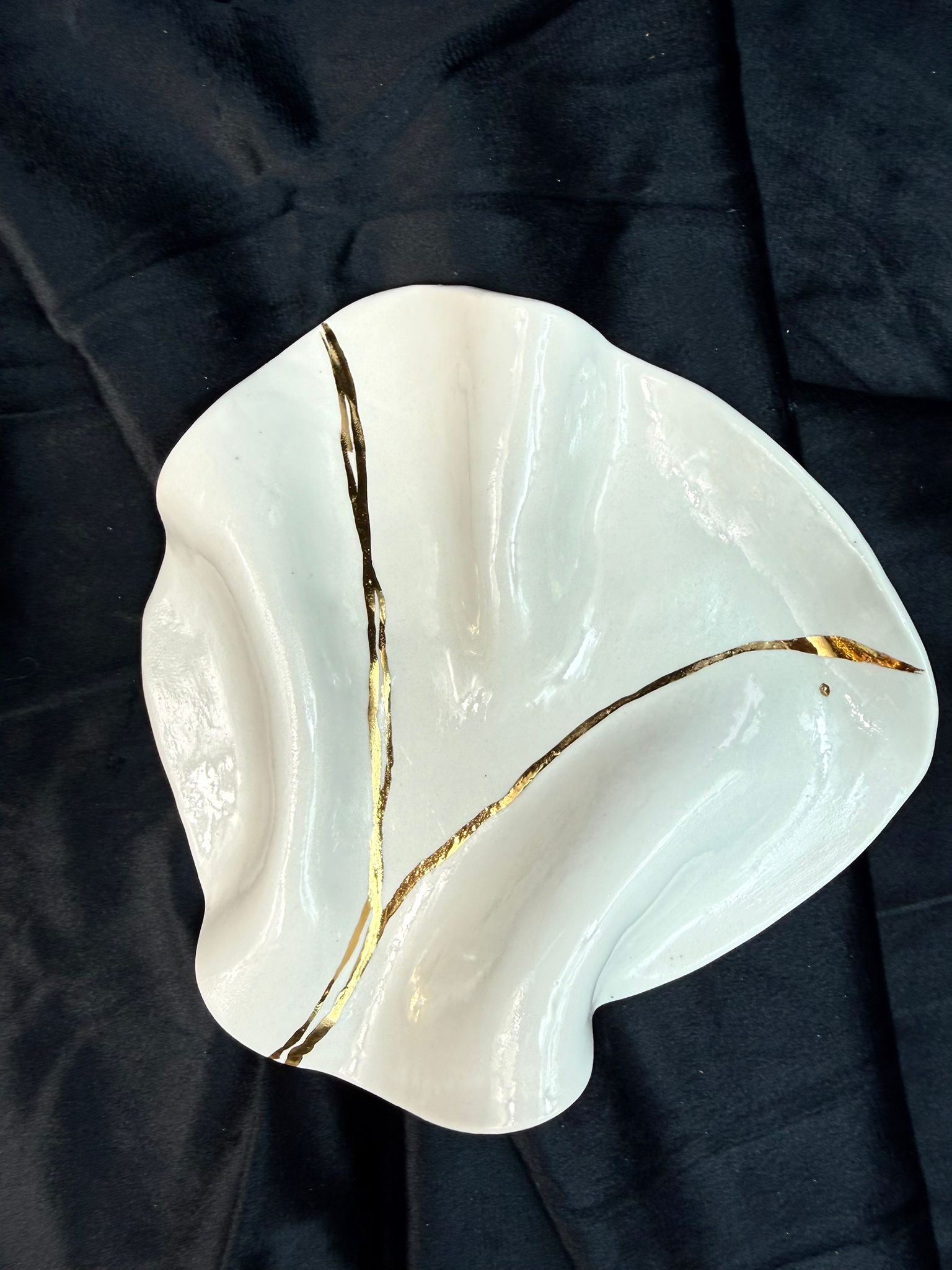 WhatsApp Image 2026-02-03 at 10.59.37 (14)