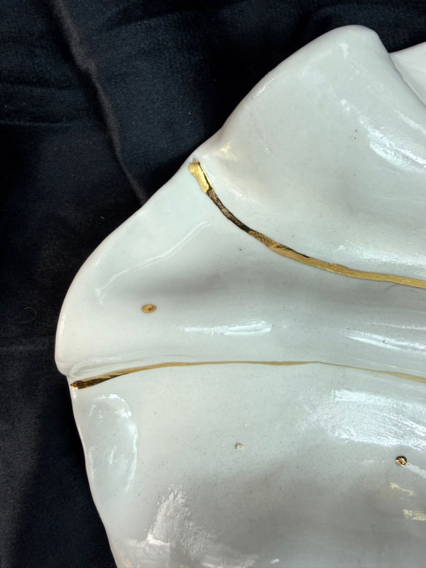 WhatsApp Image 2026-02-03 at 10.59.37 (4)