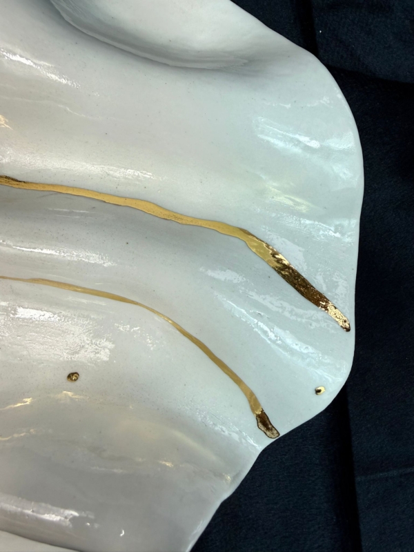 WhatsApp Image 2026-02-03 at 10.59.37 (6)