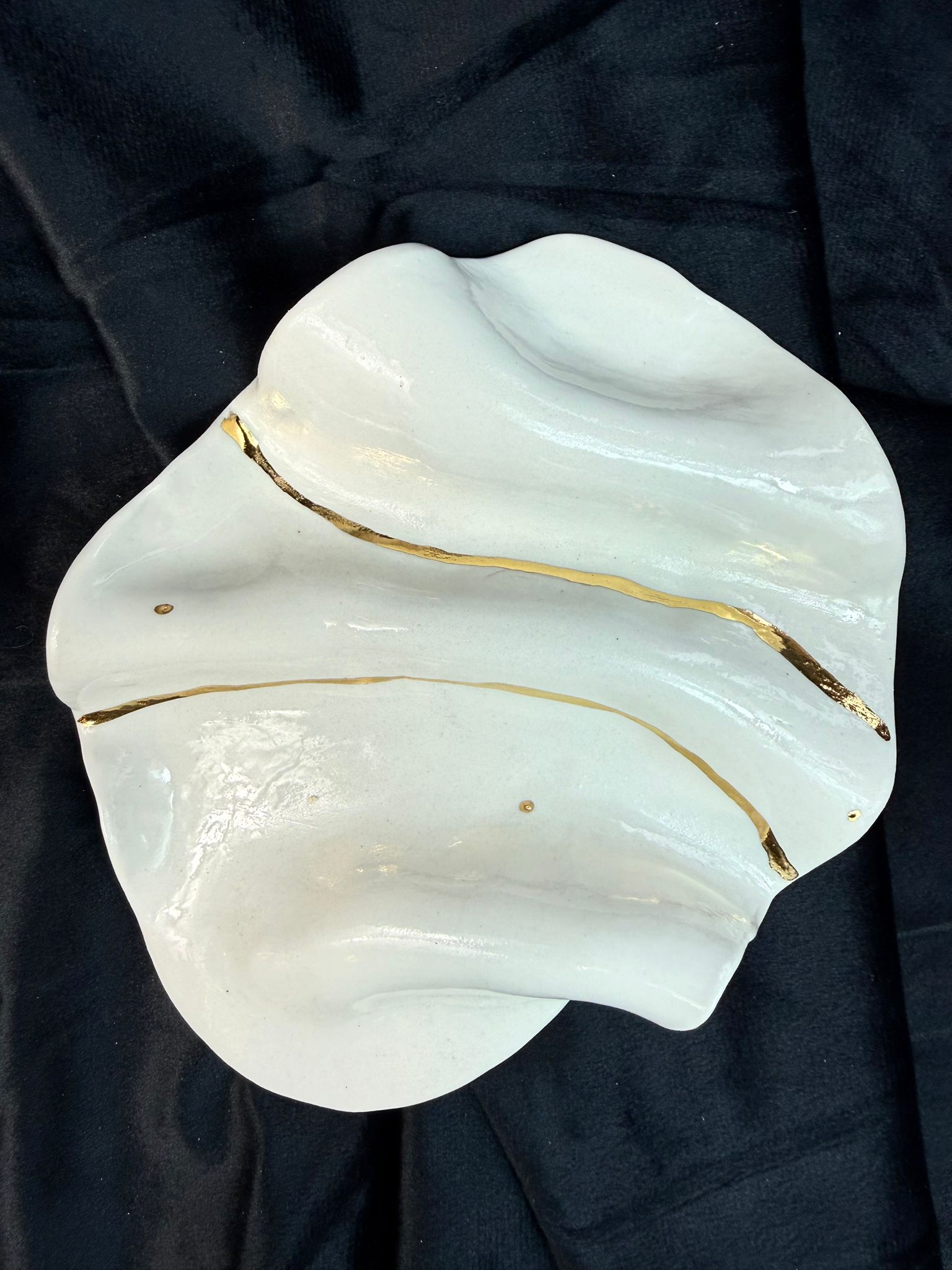 WhatsApp Image 2026-02-03 at 10.59.37 (7)