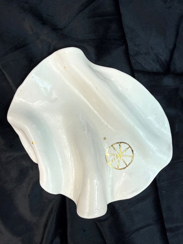 WhatsApp Image 2026-02-03 at 11.01.04