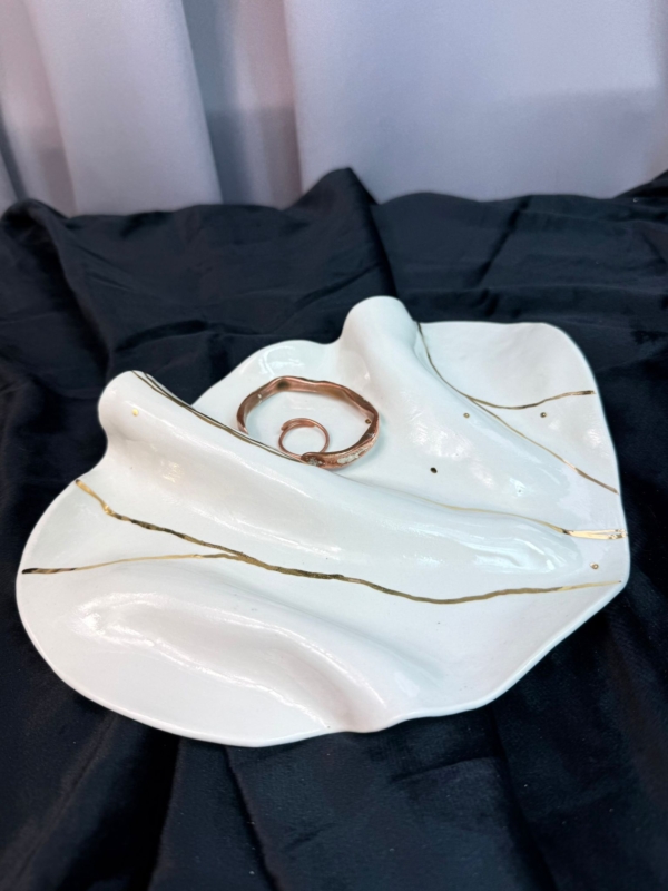 WhatsApp Image 2026-02-03 at 11.04.09