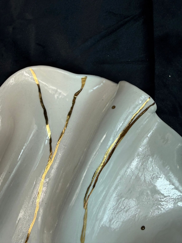 WhatsApp Image 2026-02-03 at 11.04.10 (1)