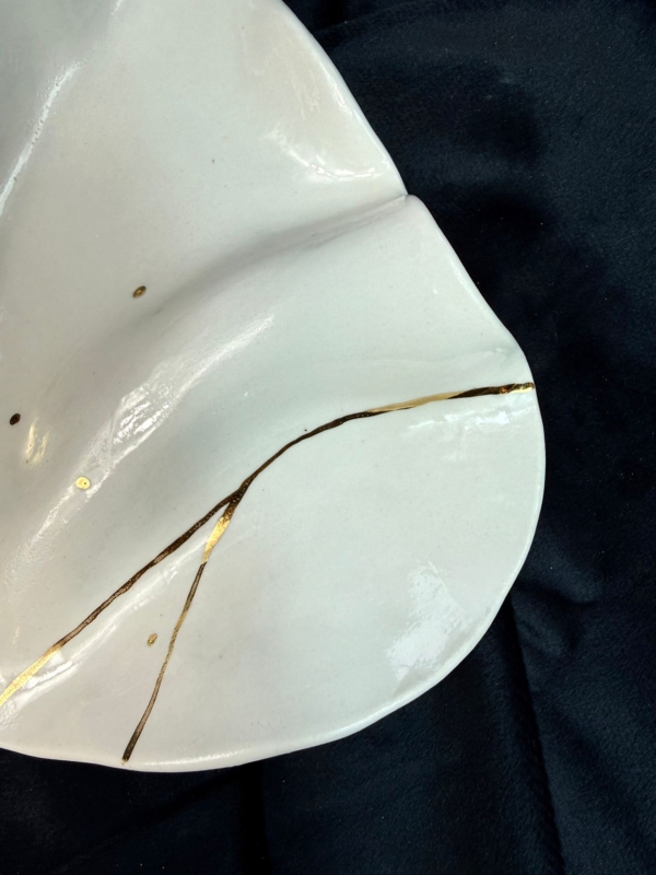 WhatsApp Image 2026-02-03 at 11.04.10 (2)