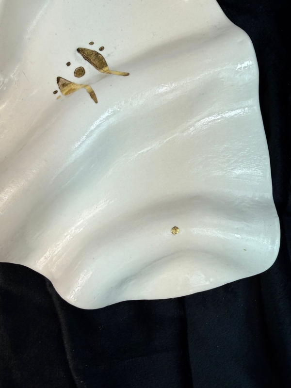 WhatsApp Image 2026-02-03 at 11.04.11 (4)