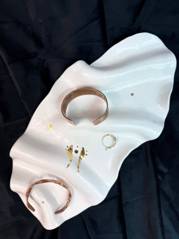 WhatsApp Image 2026-02-03 at 11.04.11