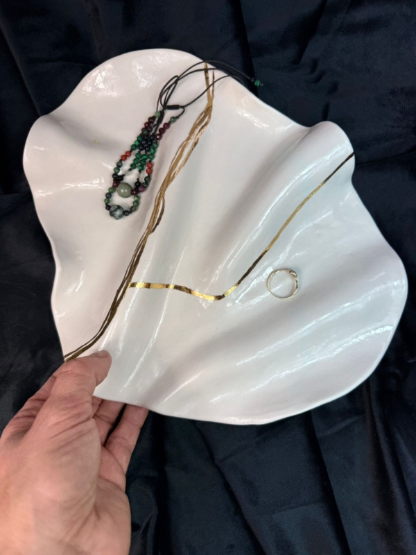 WhatsApp Image 2026-02-03 at 11.05.19 (2)