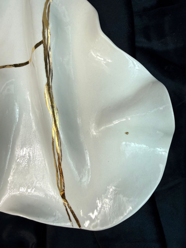 WhatsApp Image 2026-02-03 at 11.05.19