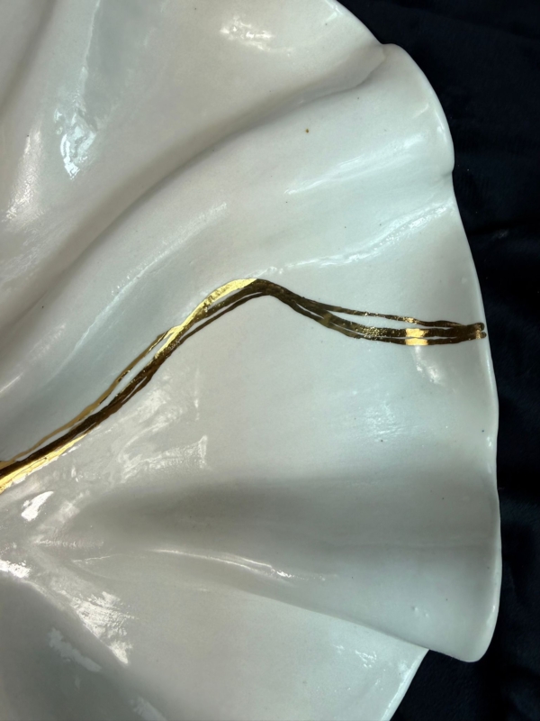 WhatsApp Image 2026-02-03 at 11.05.40 (1)